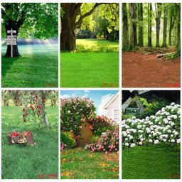 ZHISUghts Paysage Naturel Photographie Fond Pelouse Forêt Paysage Voyage Photo Décors Studio Props