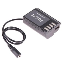 FOTGA décodé BLK22 DUNIBattery DMW-DCC17 couremplaçant CC pour Panasonic Lumix S5 DC-S5 GH6