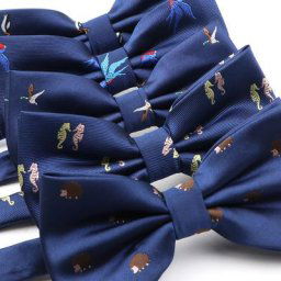 Nministériels d Papillon 2021 Microcarence pour Homme Jacquard Tissé Bleu Motif Animal de Dessin
