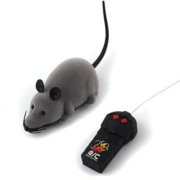Souris électronique sans fil pour chat 3 couleurs télécommande jouet interactif pour animal de