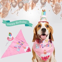 Ensemble de chapeaux pour chien bavoir imprimé de lettres décoratif léger chapeau