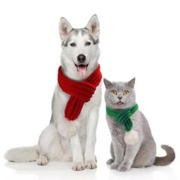 Écharpe de noël tricotée pour chat écharpe d'hiver chaude pour chien fournitures pour animaux de