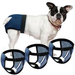 Couches Physiologiques pour Animaux de Compagnie Culottes Sanitaires Shorts Accessoires Fille