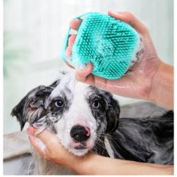 HODog-Brosse de bain en silicone souple pour animaux de compagnie douche sécurité peigne boîte à