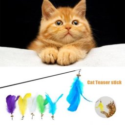 Baguette télescopique rétractable en plumes pour chat jouets de divertissement fournitures