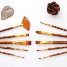 Ensemble de pinceaux à pointe ronde et pointue pinceau d'artiste 10 pièces 68TA