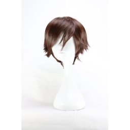 Perruques synthétiques marron foncé 32 Cm pour hommes perruques courtes résistantes à la chaleur