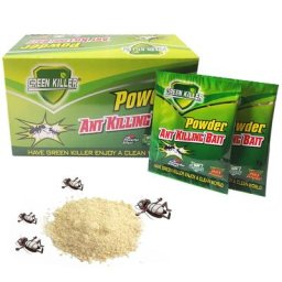 Poudre d'appât Monténégro de cafards insecticide efficace Monténégro de cafards médecine lutte
