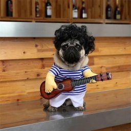 Costume de Guitare pour Animaux de Compagnie Costumes de Chien Halloween noël Cosplay fête Tenue