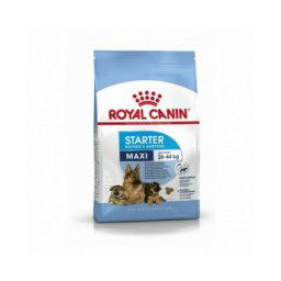 Croquettes Royal Canin Maxi Starter Mother & Babydog Sac 4 kg