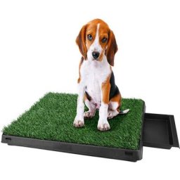 Litière Gazon synthétique Chiens Toilettes Portables à Pelouse Artificielle pour animaux de