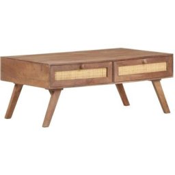 Table basse 100x60x40 cm Bois de manguier massif Vidaxl Brun