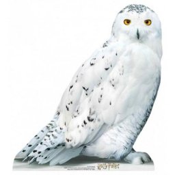Figurine en carton taille réelle Hedwige la chouette blanche vue de profil Film Harry Potter 74 cm