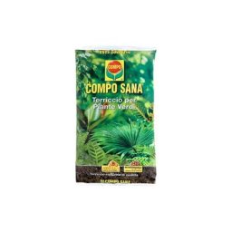 Compo - sana terriccio pour plantes vertes de qualité 10 lt