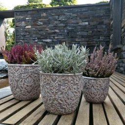 Set de 3 Pot de fleurs Vintage Béton Cache-pot à plantes Décoration de jardin Shabby Chic - gris