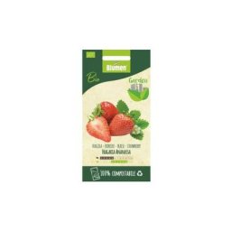 Graines de fraise bio