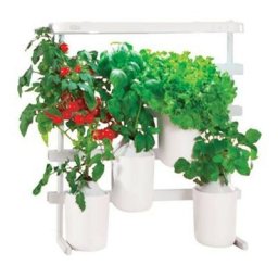 Potager de cuisine Modulo - Modulable Prêt À Pousser