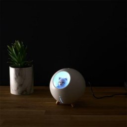 Diffuseur Parfum Ambiance Chat - blanc