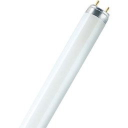 Osram - Tube Fluorescent Lumilux T8 Blanc Chaud G13 36W