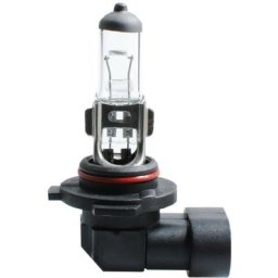Ampoule halogène H12 53W PZ20D 12V