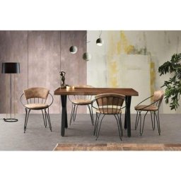 Cotecosy - Lot de 2 chaises ovales Doninos Métal Noir et Velours Beige - Noir