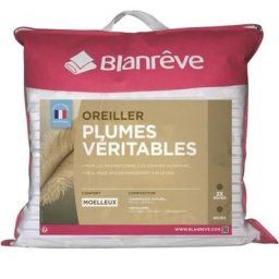 Oreiller Plumes 60x60 cm blanc - Blanreve