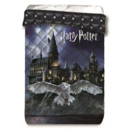 Couette imprimée Enfant Edwige Poudlard by Night - Couvre Lit 140x200 cm - Bleu - Harry Potter
