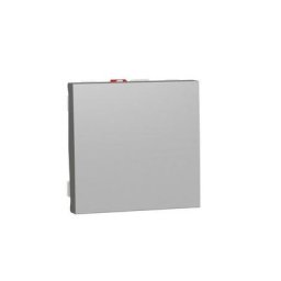 Schneider Electric - Interrupteur 2 modules aluminium