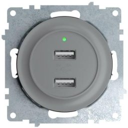 Prise usb encastrée à 2 sorties 5V, 2.1 a, témoin de charge led Gris - Gris