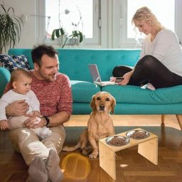 Gamelles Surélevées pour Chien Grande Taille et Chats, Support Surélevé pour Nourriture et Eau,