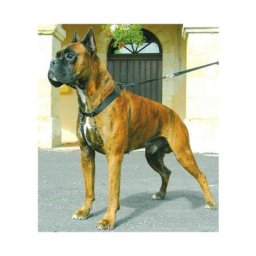 Polytrans - Harnais pour empêcher le chien de tirer Sympa Dog T4