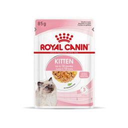 Royal Canin - Bouchées Kitten pour chaton de 4 à 12 mois - 12 Sachets 85 g en gelée