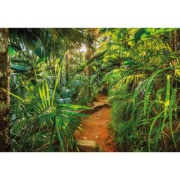 Photo murale de Komar Jungle Trail - Taille: 368 x 254 cm - vert/blanc
