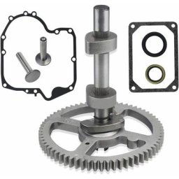 Pour Briggs Stratton 793880 Arbre à cames 793583 792681 791942 795102 Joint 697110 H465