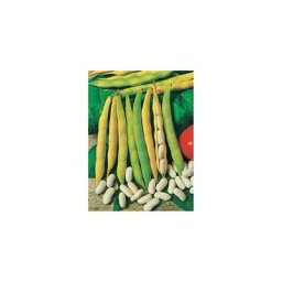 Haricot nain michelet - 300 g
