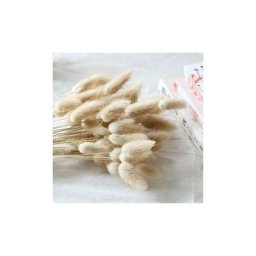 Naturellement séché Lagurus Ovatus 150 pcs Séché Queues De Lapin Pampa pour Arrangements De Fleurs