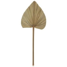 Lot de 3 tiges de palmier Palm - H70 cm - Atmosphera créateur d'intérieur - Kaki