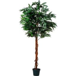 Manguier artificiel, tronc en bois véritable, choix de taille, 180 cm, 840 feuilles - Plantasia