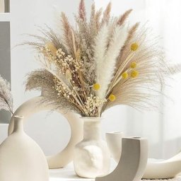 73 Pièces - Pampa décorative pour la maison, plantes décoratives de pampa naturelles Fleurs séchées