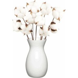 10 Pack Fleurs de Coton Sechee Naturelle Fleurs Sechees Tige Coton Fleur Naturel Fausses Branches