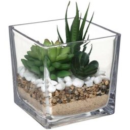 Atmosphera - Composition Plante Pot kre 12 créateur d'intérieur - Transparent