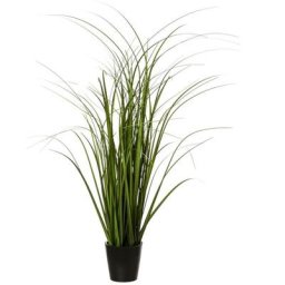 Atmosphera - Bunch Herbe en Pot de Plastique H50 créateur d'intérieur - Vert