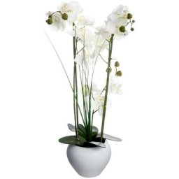 Orchidée vase céramique blanc H.53 Atmosphera créateur d'intérieur - Blanc