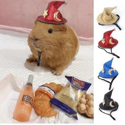 Chapeau réglable pour petits animaux de compagnie casquettes de costume de fête hamster rat