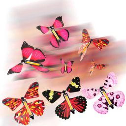 Papillon magique volant jouet fantaisie élastique en papier éducation scientifique apprendre