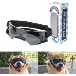 Lunettes de soleil de protection UV pour chien de petite race lunettes d'extérieur coupe-vent