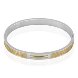 Bracelet Jonc Fermé Acier Blanc Et Plaqué Or Apollo