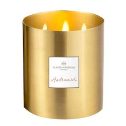 Plantes et Parfums - Andromède Grande Bougie Végétale Parfumée 1.3 l