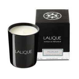 Lalique - BOUGIE PEUPLIER, ASPEN Bougie Parfumée 190 G 190 g