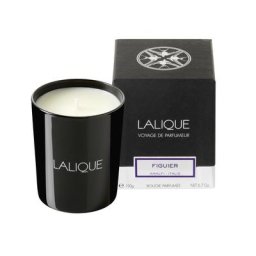 Lalique - BOUGIE FIGUIER, AMALFI Bougie Parfumée 190 G 190 g